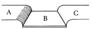 Figura 10