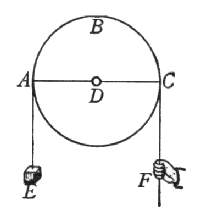 Figura 11