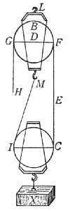 Figura 13