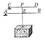 Figura 14