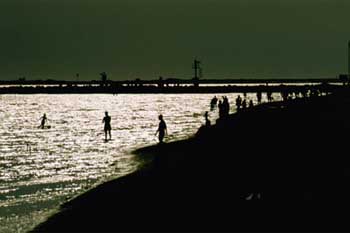 Ombre sulla spiaggia