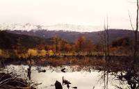 Parque Nacional - Ushuaia