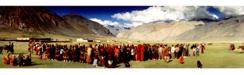 Wedding in Zanskar