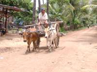 Cambogia - Villaggio