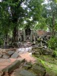 Angkor (CAM) - Ta Prohm