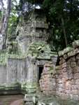 Angkor (CAM) - Ta Prohm