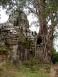 Angkor (CAM) - Ta Som