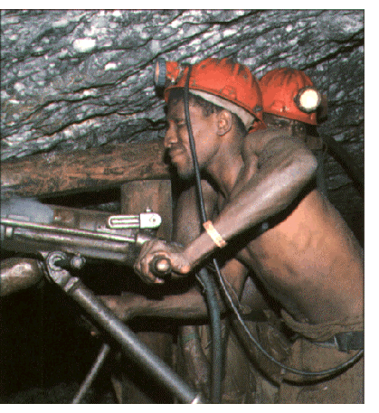 minatori