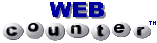 Web_Counter logo