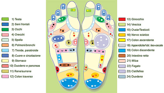reflexology foot map