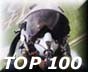 AVIATION TOP 100 - www.avitop.com