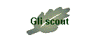 Gli scout