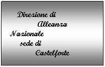 Casella di testo: Direzione di                 Alleanza Nazionale                           sede di                       Castelforte
