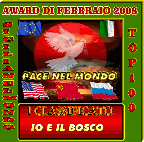 1 classificato top 100 sicilianelmondo febbraio 2008