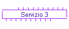 Servizio 3