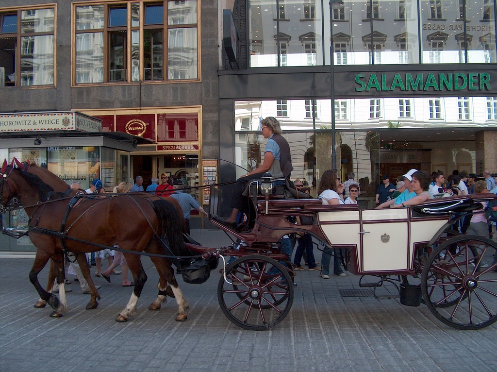 Turisti in giro in carrozza