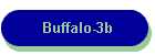 Buffalo-3b