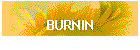 BURNIN