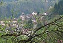 Scorcio di Raveo vista da Laurisce