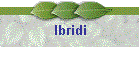 Ibridi