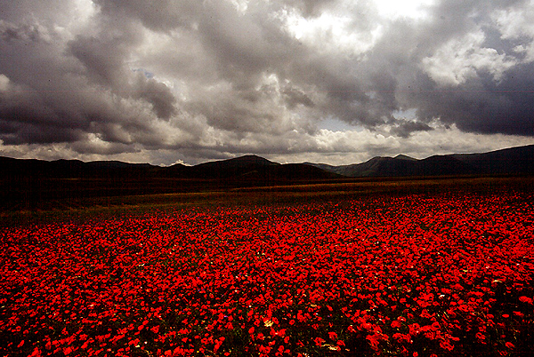 The Sibillini Hills I Monti Sibillini Umbria Marche Italy Castelluccio Italia Monti