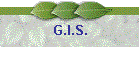 G.I.S.