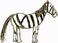 zebra