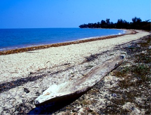 Carabane : spiaggia