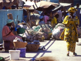 Dakar : donne al mercato del pesce