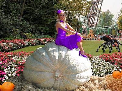 Foto, Gardaland Magic Halloween, la zucca da 507 kg