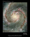 galassia M51.jpg (55109 byte)