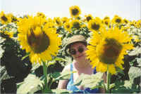 Agr. Pagliai - girasoli e simona (Web).jpg (102726 byte)