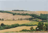 Toscana 1 (x Web).jpg (89588 byte)