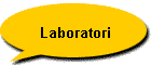 Laboratori