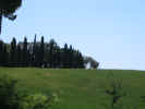 Paesaggio Toscano