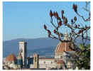 Panorama Fiorentino