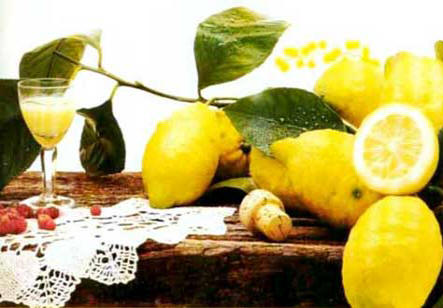 Limoni limoncello - Sorrento