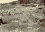 Gli scavi nel 1935