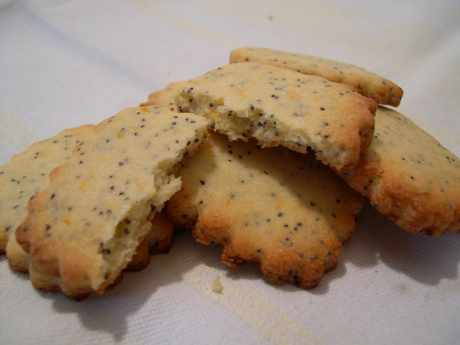 Biscotti ai Semi di Papavero