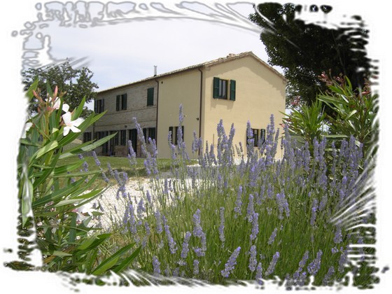Ferienwohnung - Vakantiewoning - Holiday house in Le Marche.
