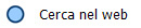  Cerca nel web
