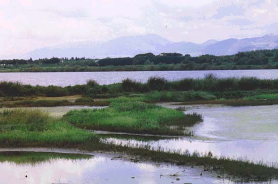 Lago di Paola.jpg (27145 byte)