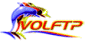 VolFtp