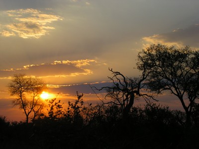 Il tremonto nella savana