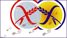 Simbolo della Prima Giornata Mondiale della Celiachia - 5 maggio 2002