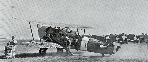 Ro 37 bis of the 115^ Sq.  Lybia 1940