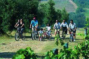 Biking in Tuscany around chianti vineyards