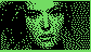 013.gif (524 byte)