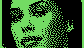 022.gif (521 byte)