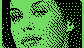 023.gif (570 byte)